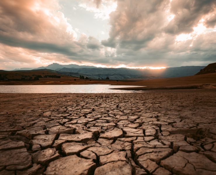Agnes Ebedi: "The Drought has come to an End!"