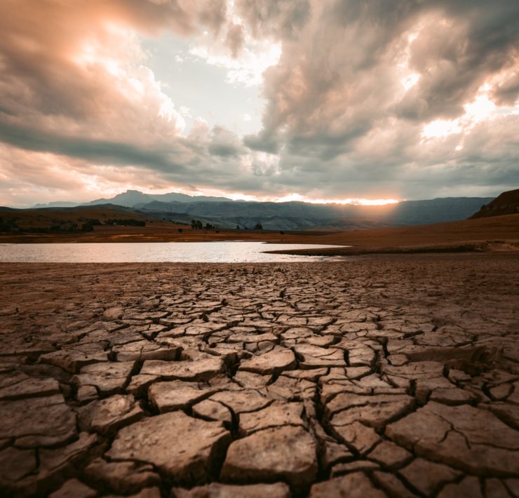 Agnes Ebedi: "The Drought has come to an End!"