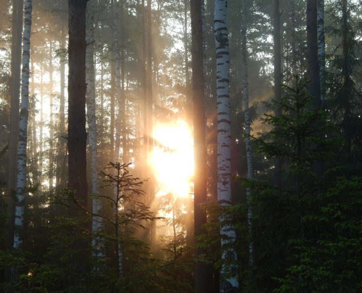Agnes Ebedi: "I Hear the Sound of Your Breakthrough!"