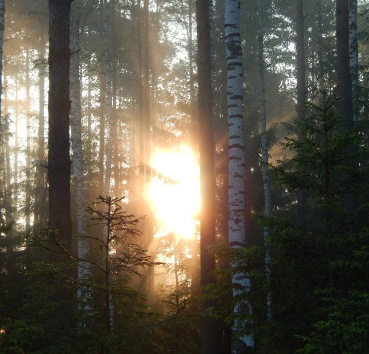 Agnes Ebedi: "I Hear the Sound of Your Breakthrough!"