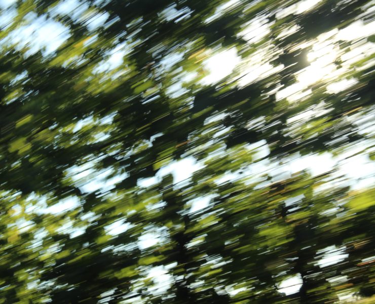 Much More than You Expected!