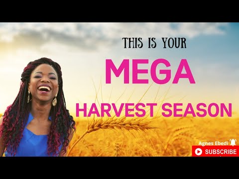 This is your MEGA HARVEST SEASON!