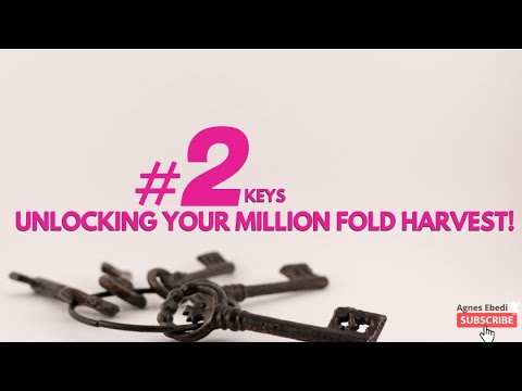 Agnes Ebedi || 2 Keys to Unlock your MILLION FOLD HARVEST SEASON!