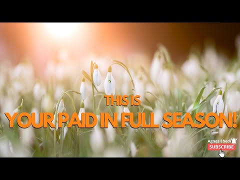 This is your PAID IN FULL SEASON! || Agnes Ebedi