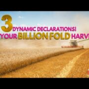 Agnes Ebedi || 3 Dynamic Declarations to Guarantee your BILLION FOLD HARVEST!
