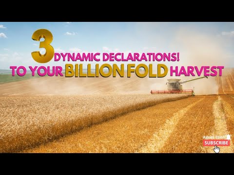 Agnes Ebedi || 3 Dynamic Declarations to Guarantee your BILLION FOLD HARVEST!