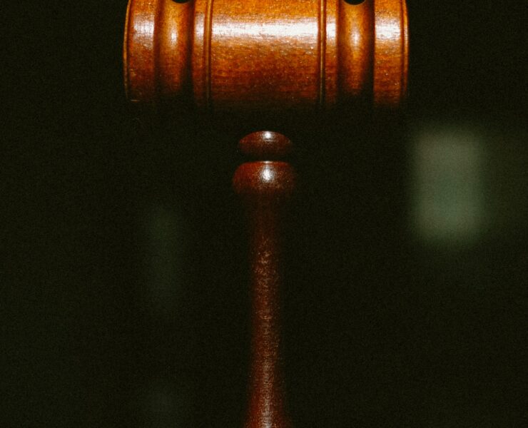 "Court is in session!" – Agnes Ebedi