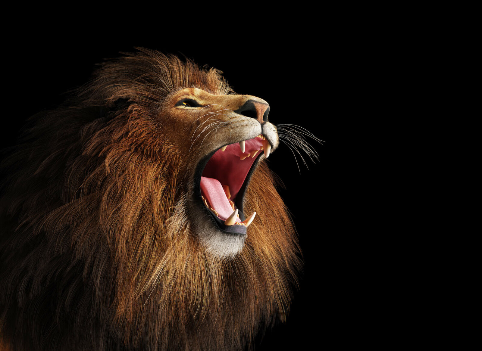 Mighty Lion Roaring