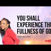YOU SHALL EXPERIENCE THE FULLNESS OF GOD THIS YEAR AND SEASON IN THE MIGHTY NAME OF JESUS!