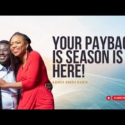 YOUR PAYBACK IS SEASON IS HERE!