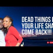 EVERYTHING DESTROYED IN YOUR LIFE SHALL COME BACK TO LIFE IN THE NAME OF JESUS