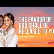 THE LORD SHALL RELEASE HIS FAVOUR UPON YOUR LIFE IN THE NAME OF JESUS!